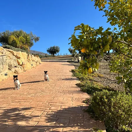 Zayas Whole Estate * Periana