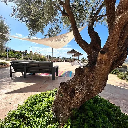 Zayas Whole Estate * Periana