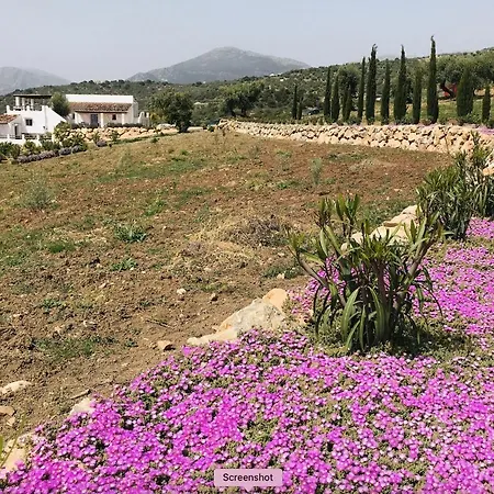 Zayas Whole Estate 페리아나